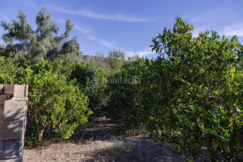 Foto 00682071-3eef-4d64-b029-c26a9f940c6f. Finca rústica oportunidad única finca rústica en murchas en Lecrín