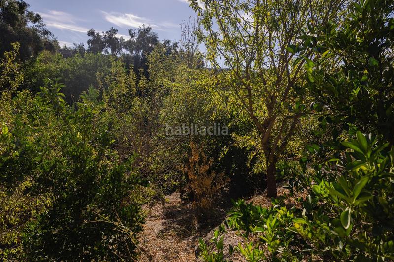 Foto 04471695-1533-48a7-bf88-b2783863c7dd. Finca rústica oportunidad única finca rústica en murchas en Lecrín