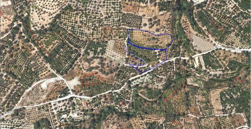 Foto 179a6e57-233f-4c2e-8bcf-34793c88278c. Finca rústica oportunidad única finca rústica en murchas en Lecrín