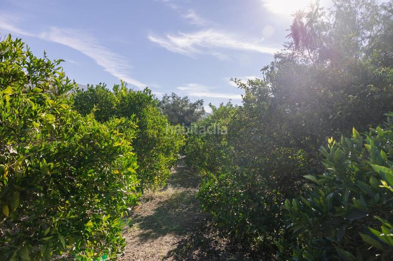 Foto 1e8c70aa-c467-4a85-a035-17a0aa589970. Finca rústica oportunidad única finca rústica en murchas en Lecrín