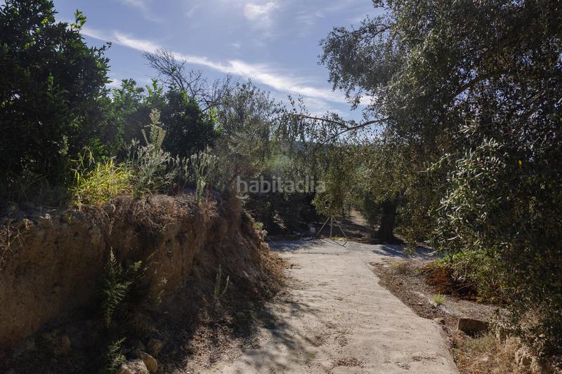 Foto 3afa67d3-9935-4204-a449-61e157779bc9. Finca rústica oportunidad única finca rústica en murchas en Lecrín