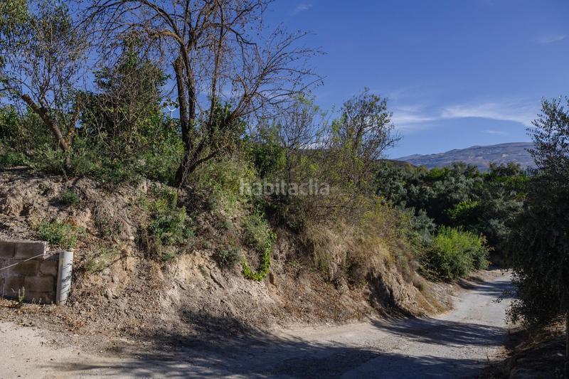 Foto 3e516fef-a6d7-4abf-951d-93fee59f6b15. Finca rústica oportunidad única finca rústica en murchas en Lecrín