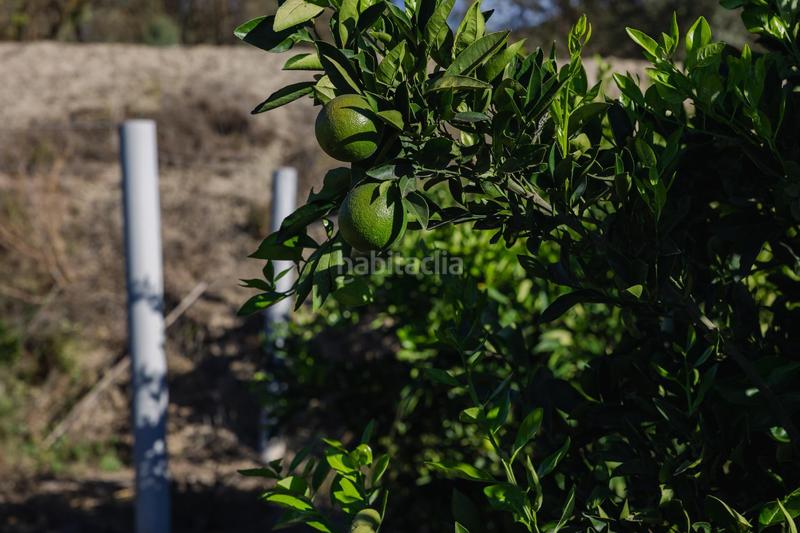 Foto 4dacc7e7-d8a3-457b-b07e-74df886e61ff. Finca rústica oportunidad única finca rústica en murchas en Lecrín