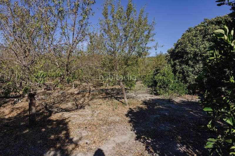 Foto 60f76262-a25a-4e92-8a74-ad5407b0aabf. Finca rústica oportunidad única finca rústica en murchas en Lecrín