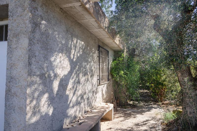 Foto 7617f859-437e-4072-8350-7f88c9a71302. Finca rústica oportunidad única finca rústica en murchas en Lecrín