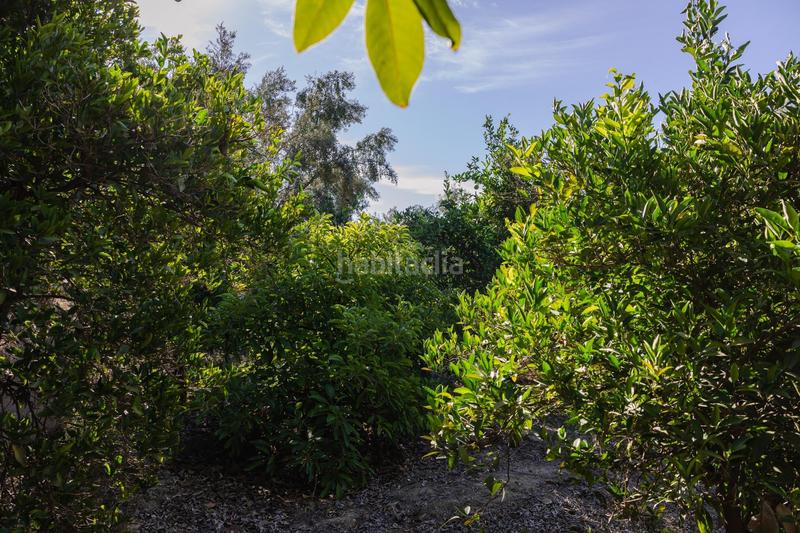 Foto 78632537-428d-46fa-8d85-15d04d8d415a. Finca rústica oportunidad única finca rústica en murchas en Lecrín