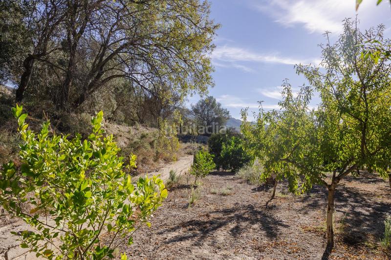 Foto be583bb5-5b8b-4722-bc50-b23eb87851fd. Finca rústica oportunidad única finca rústica en murchas en Lecrín