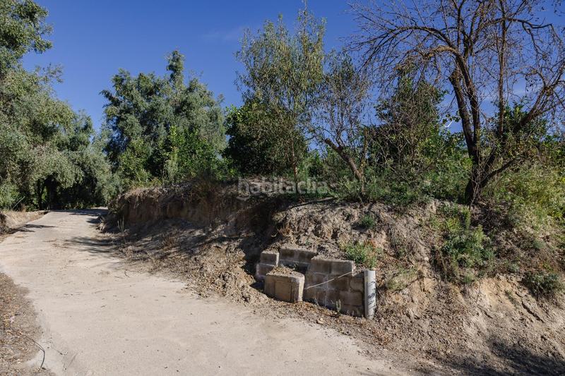 Foto cfdf134e-10f3-4a57-80f7-9ecdc5d2985d. Finca rústica oportunidad única finca rústica en murchas en Lecrín
