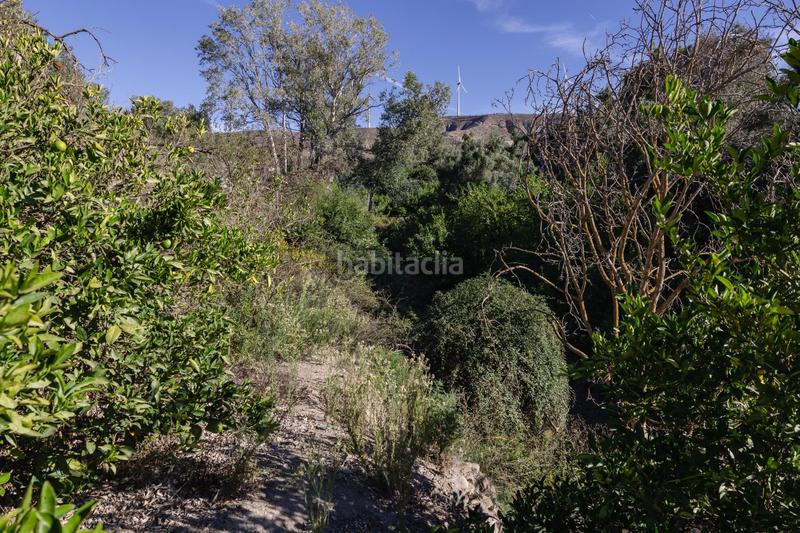 Foto d2398a61-1087-4c92-9947-c9ad11babe89. Finca rústica oportunidad única finca rústica en murchas en Lecrín