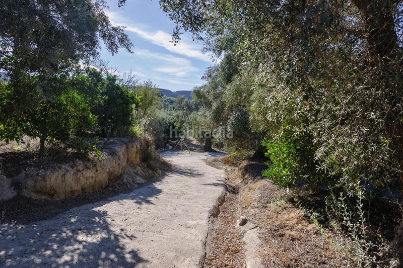 Foto d67beace-975a-43af-a26b-916558b44b8e. Finca rústica oportunidad única finca rústica en murchas en Lecrín