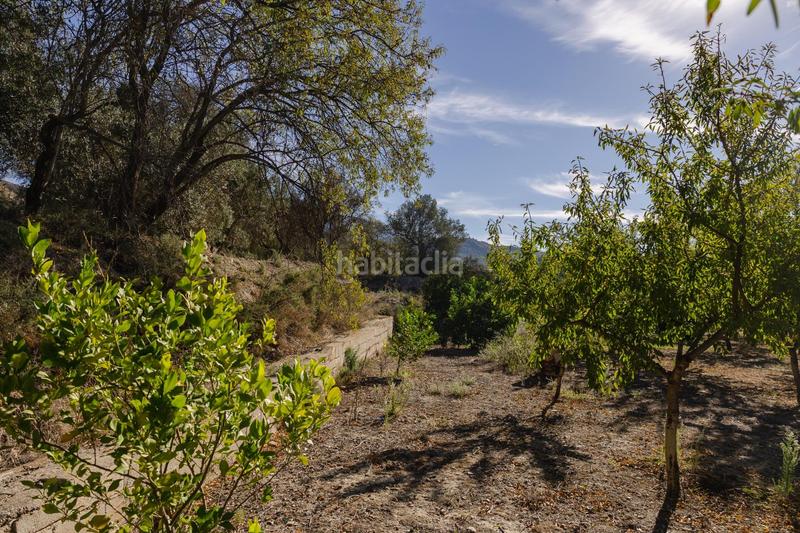 Foto d84e848b-f56f-4c6f-889d-a451c4b705a5. Finca rústica oportunidad única finca rústica en murchas en Lecrín