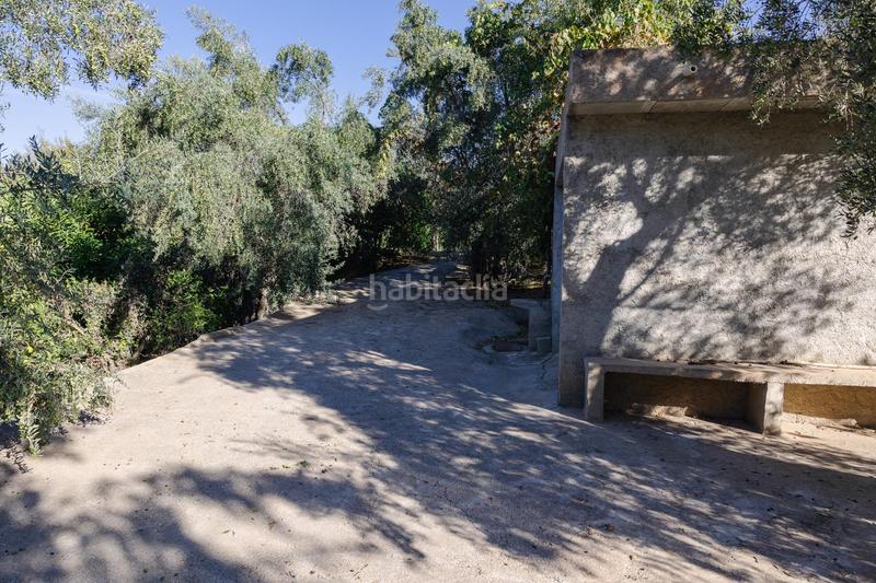 Foto e9e54ff9-dda3-4a9b-820c-982333750526. Finca rústica oportunidad única finca rústica en murchas en Lecrín