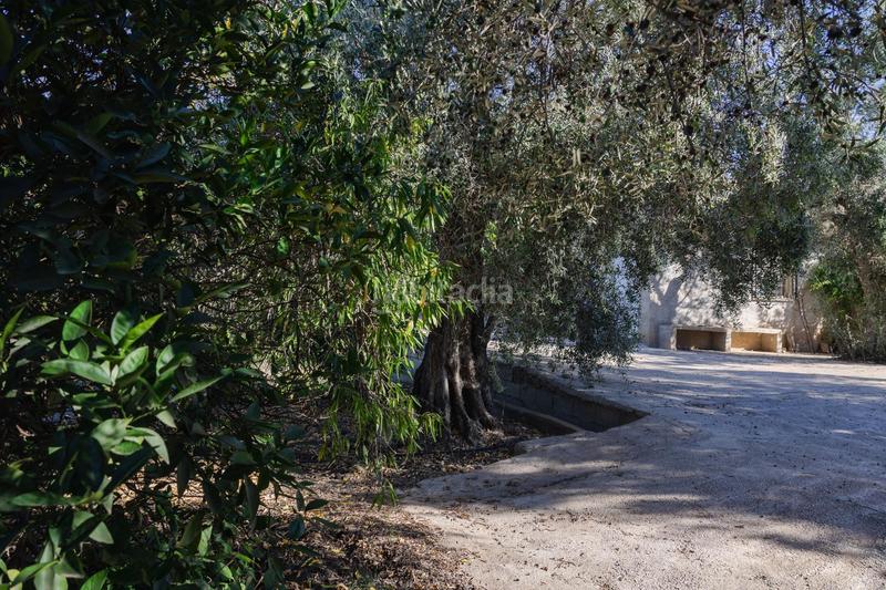 Foto ed9ba239-c2f6-4580-8cab-2fb222084e59. Finca rústica oportunidad única finca rústica en murchas en Lecrín