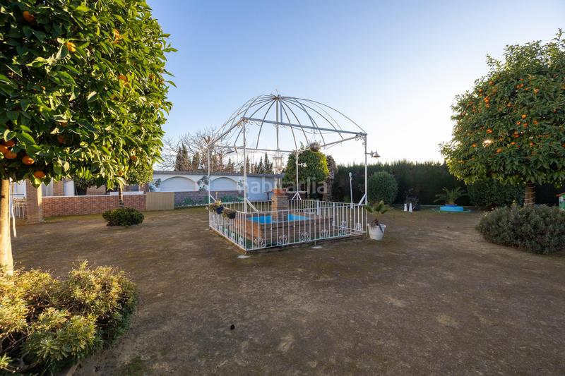 Foto 137ed17d-b2db-491d-ad9c-b381f1780369. Locale commerciale in Rosaleda - Juventud Granada