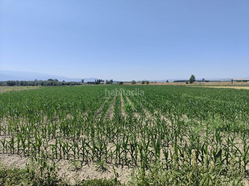 Foto f77b42e9-da5b-404d-ae4c-1398ef2afd94. Finca rústica a carretera carretera de pinos puente a Atarfe