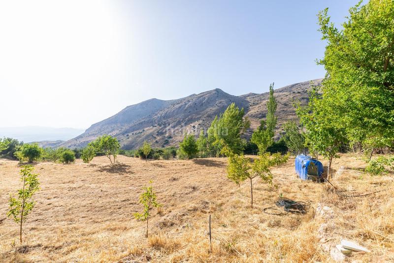 Foto 972f6182-c54c-4b1d-a5d3-96522ac8a4fb. Mas dans Cogollos de la Vega