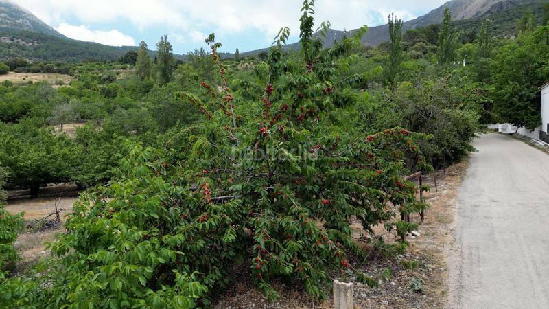 Foto 2ec14cd0-9dfa-49b3-baca-04ccb700a31d. Masía finca en venta , jaén casa, piscina y espacios para tu proyecto rural en Torres