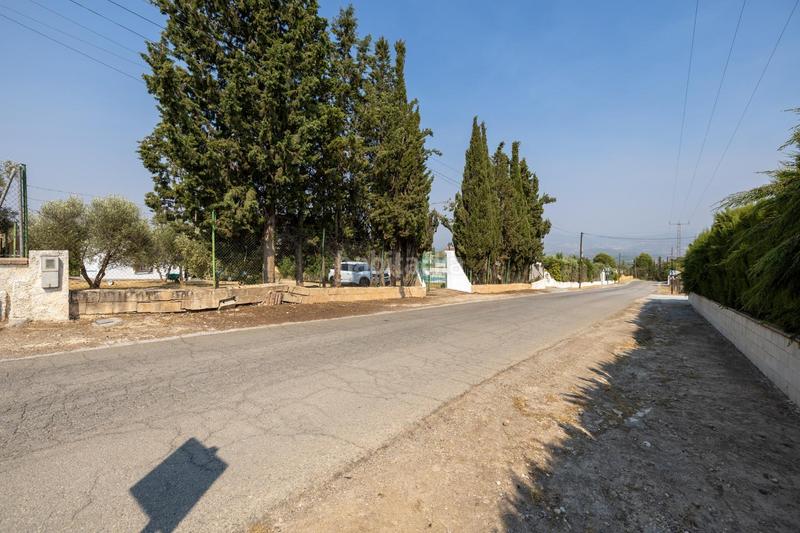 Foto 4c0ac066-b883-49c7-82d4-415a5422b2fb. Masía encanto rústico con casita y olivos en moraleja de zafayona en Moraleda de Zafayona