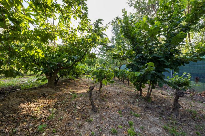 Foto e3f1c009-fa3d-4ddf-8c30-cc9e601b733d. Propriété dans paseo paseo duquesa s/n dans Pinos Genil