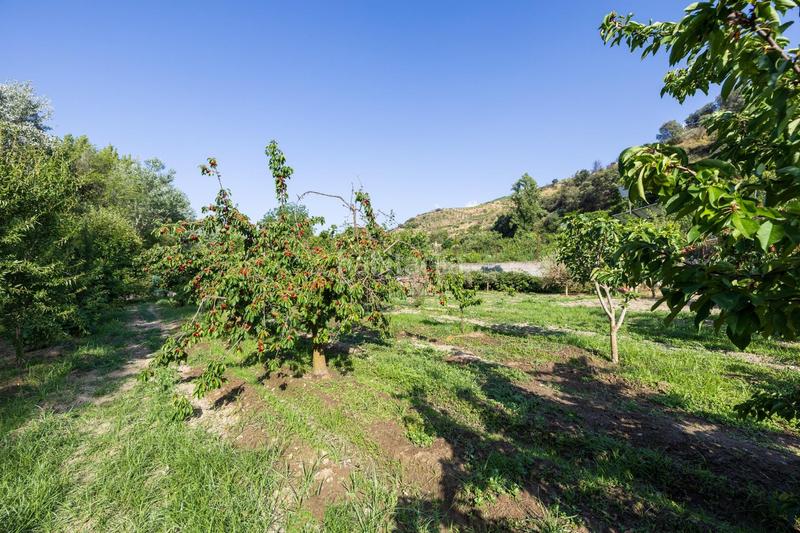 Foto fe5ce1fd-3146-4b3d-9400-b4525f4aa4a1. Propriété dans paseo paseo duquesa s/n dans Pinos Genil