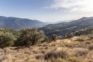 Propriété  Polígono 8 parcela 21. Terreno en venta en la alpujarra, cañar oportunidad única en ent