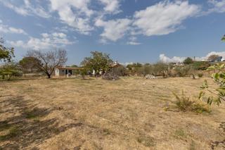 Bauernhof in Peligros. Encantadora parcela rústica con casa y pozo en caserío de fonsec