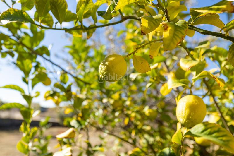 Foto af478141-2eb5-48f5-923d-79799b7575d7. Terrain résidentiel dans San Francisco - El Chorrillo Gabias (Las)