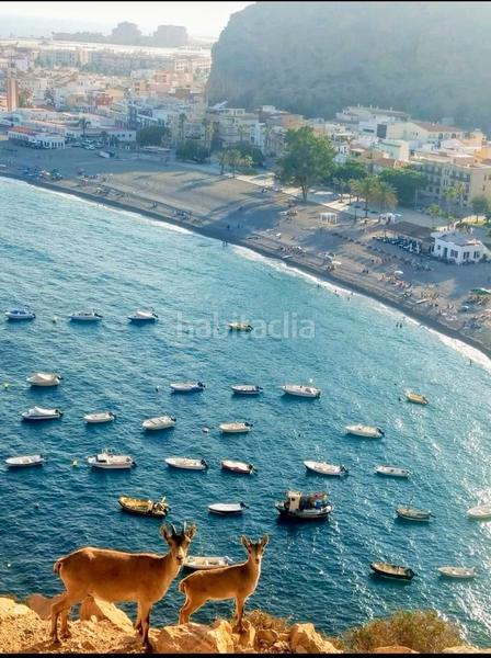 Foto e8a8b78f-ccb8-4964-aebf-edaa00b4ba90. Alquiler planta baja en calle barranco 11 piso nuevo a estrenar en calahonda en Motril
