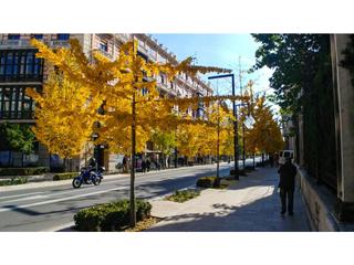 Pis  N/a. Pisazo en gran via