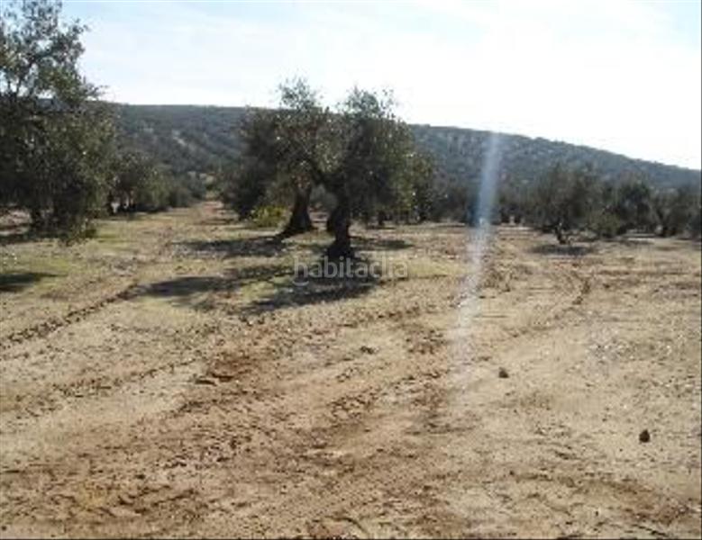 Foto 5e5afc72-e17b-4b83-b06d-de8ff177ec98. Residential plot in pago de los arenales in Bailén