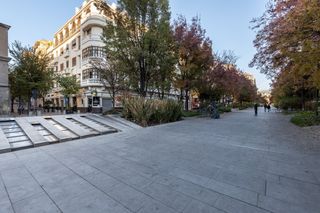 Dúplex  Constitución 18. Espectacular duplex en pleno centro de granada!descubra la joya