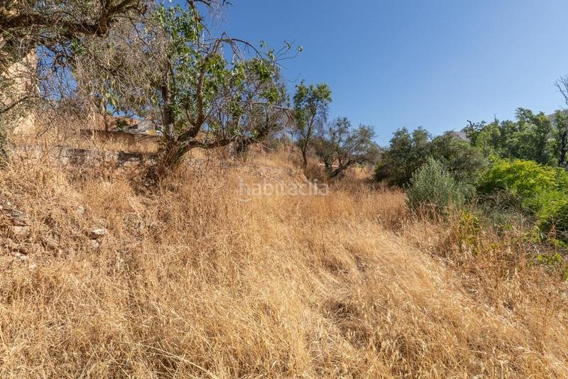 Foto 03d90d2a-677b-4889-bf4f-dddfc53f0f54. Masía en polígono 7 paraje 143 huerta vieja 408 venta de cortijo en cogollos vega en Cogollos de la Vega