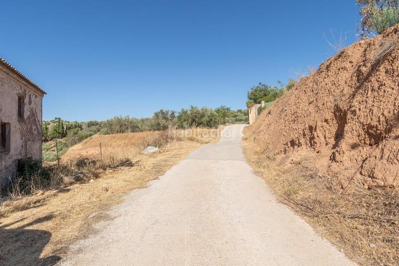 Foto 176e5261-33c9-4208-a4fb-afa9d17ef9f3. Masía en polígono 7 paraje 143 huerta vieja 408 venta de cortijo en cogollos vega en Cogollos de la Vega