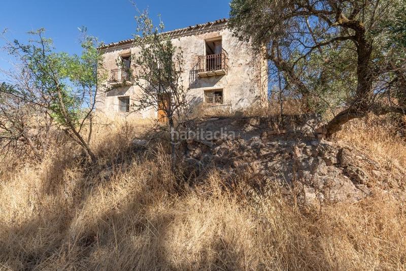 Foto 1ab346e3-d3a0-406d-a644-97fb6dd62be7. Masía en polígono 7 paraje 143 huerta vieja 408 venta de cortijo en cogollos vega en Cogollos de la Vega