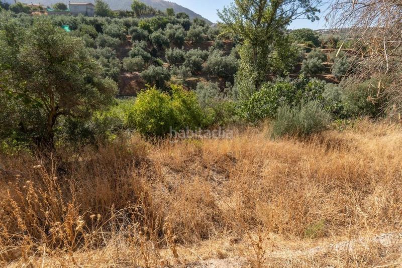 Foto 2052ccfb-3baf-44f9-a93e-a479d46e6870. Masía en polígono 7 paraje 143 huerta vieja 408 venta de cortijo en cogollos vega en Cogollos de la Vega