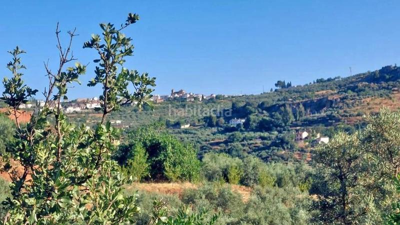 Foto 33a7ba96-b7f3-4081-bea1-eb08dedf0edc. Masía en polígono 7 paraje 143 huerta vieja 408 venta de cortijo en cogollos vega en Cogollos de la Vega