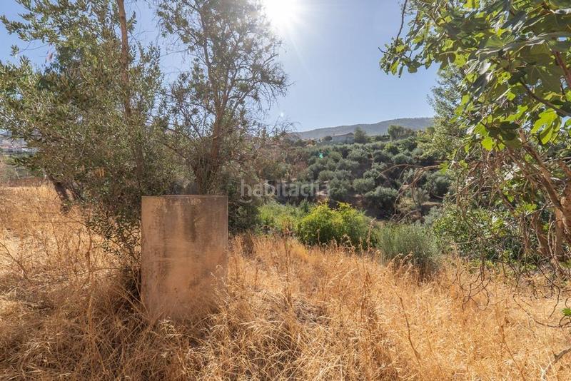 Foto 35df60a8-d7cc-4d92-8a47-4222da1ca10e. Masía en polígono 7 paraje 143 huerta vieja 408 venta de cortijo en cogollos vega en Cogollos de la Vega