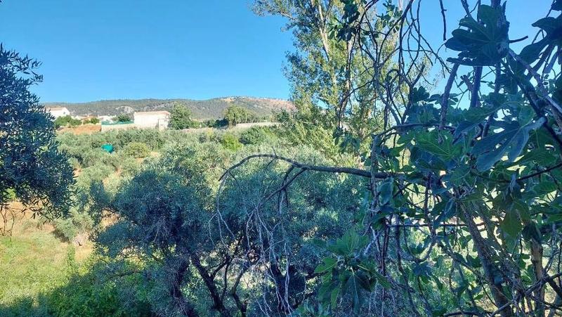 Foto 3ddadf44-ae27-47c0-80a3-2437c3737b7a. Masía en polígono 7 paraje 143 huerta vieja 408 venta de cortijo en cogollos vega en Cogollos de la Vega