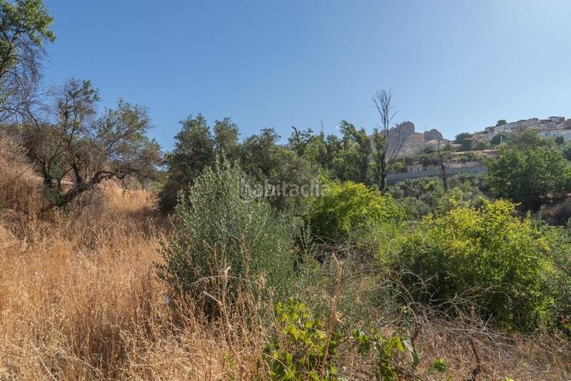 Foto 3efb08f2-e1ae-4eff-9152-9e4037334af3. Masía en polígono 7 paraje 143 huerta vieja 408 venta de cortijo en cogollos vega en Cogollos de la Vega