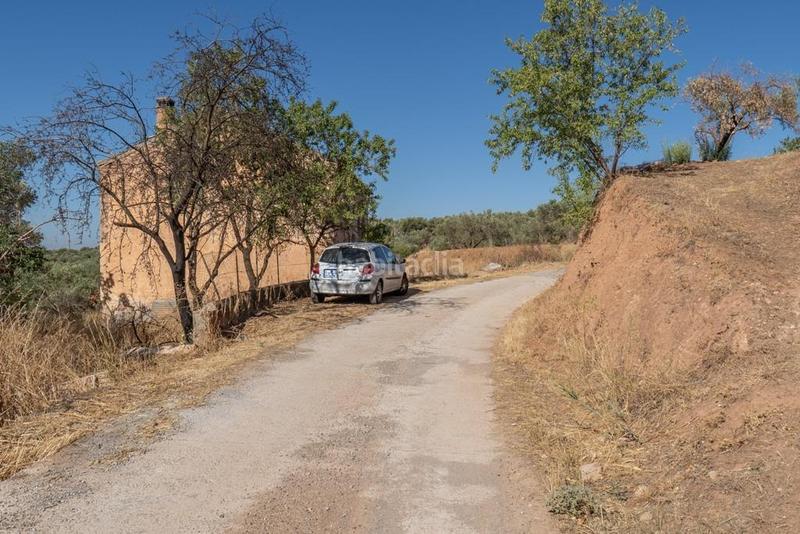 Foto 488be8db-a342-4e64-8906-3ded17167854. Masía en polígono 7 paraje 143 huerta vieja 408 venta de cortijo en cogollos vega en Cogollos de la Vega