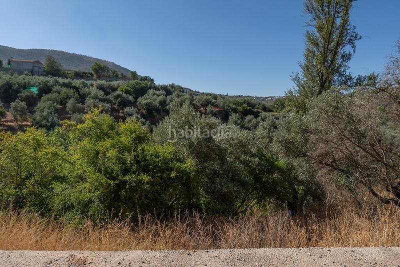 Foto 5e6944c4-12ed-4b26-8a4a-d460d3ba5dd7. Masía en polígono 7 paraje 143 huerta vieja 408 venta de cortijo en cogollos vega en Cogollos de la Vega