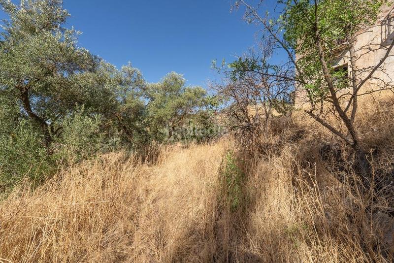 Foto 66bdcdd5-b611-4021-8e48-44001ca74c73. Masía en polígono 7 paraje 143 huerta vieja 408 venta de cortijo en cogollos vega en Cogollos de la Vega