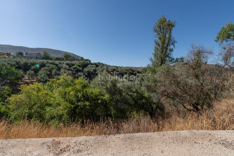 Foto 6d3e2b0a-92e2-4145-8f37-f414366b81cc. Masía en polígono 7 paraje 143 huerta vieja 408 venta de cortijo en cogollos vega en Cogollos de la Vega