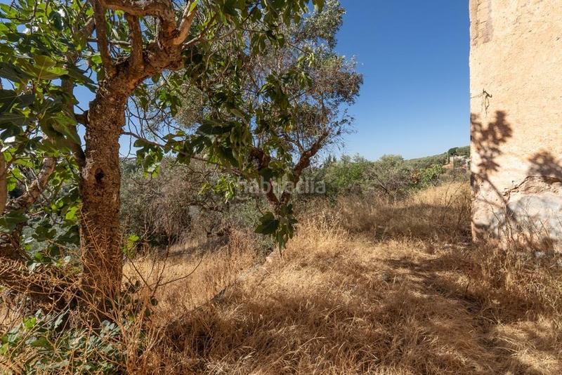 Foto 71e79214-db10-4874-b78f-fe882332391e. Masía en polígono 7 paraje 143 huerta vieja 408 venta de cortijo en cogollos vega en Cogollos de la Vega