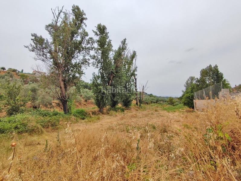 Foto 71f73cc1-0f53-4030-9033-16c5486e5077. Masía en polígono 7 paraje 143 huerta vieja 408 venta de cortijo en cogollos vega en Cogollos de la Vega