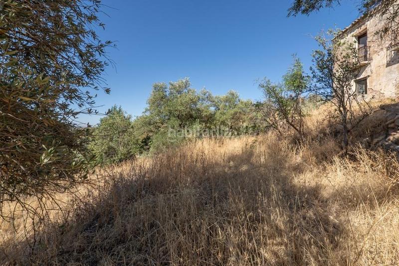 Foto 902e3443-7d17-44cf-b0f6-1e5cca94322e. Masía en polígono 7 paraje 143 huerta vieja 408 venta de cortijo en cogollos vega en Cogollos de la Vega