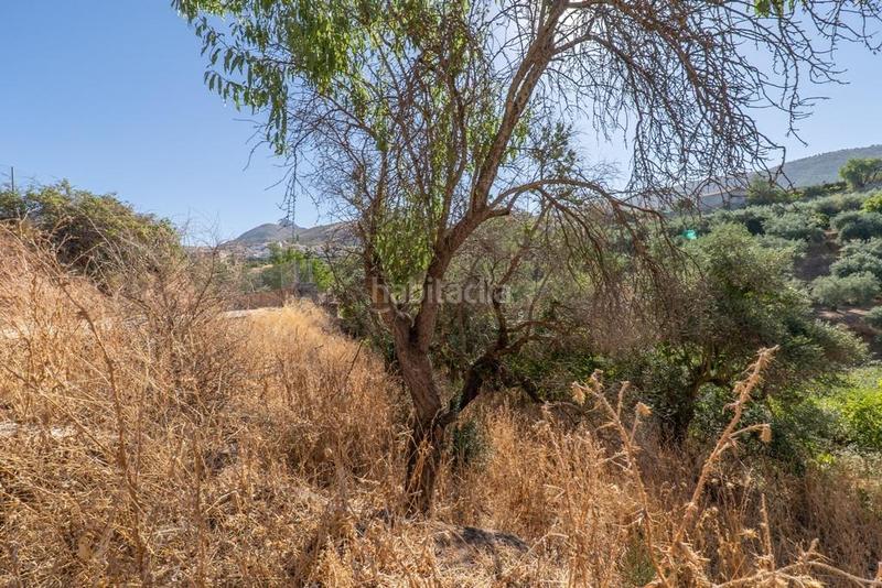 Foto 941bdab8-14fc-42f6-a5e3-e183b5c7beb7. Masía en polígono 7 paraje 143 huerta vieja 408 venta de cortijo en cogollos vega en Cogollos de la Vega