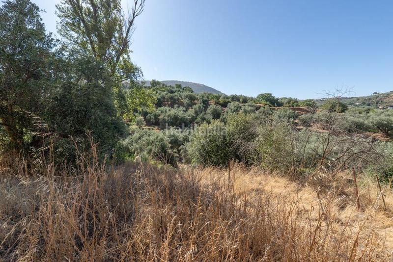 Foto 99f2b20b-f7ae-4be7-8aef-33f87fa774ae. Masía en polígono 7 paraje 143 huerta vieja 408 venta de cortijo en cogollos vega en Cogollos de la Vega