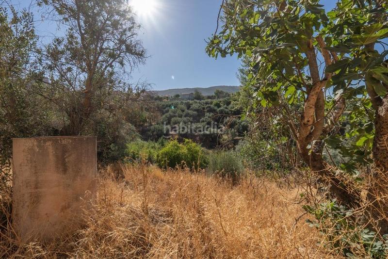 Foto 9f362754-06f1-4ec6-8667-2af6b681c32d. Masía en polígono 7 paraje 143 huerta vieja 408 venta de cortijo en cogollos vega en Cogollos de la Vega