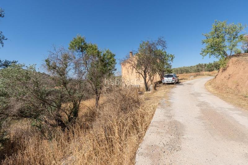 Foto a4ed73a6-841a-4aba-884f-007aaefac26f. Masía en polígono 7 paraje 143 huerta vieja 408 venta de cortijo en cogollos vega en Cogollos de la Vega